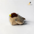 Flying Bird